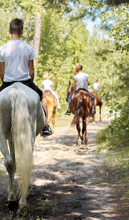 Horseback excursions on the Conero