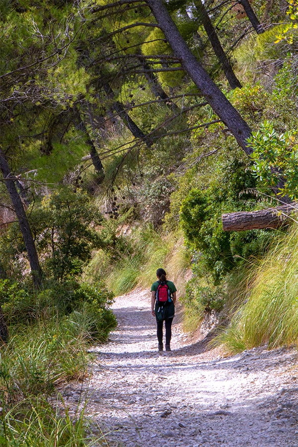 Trekking & Escursioni